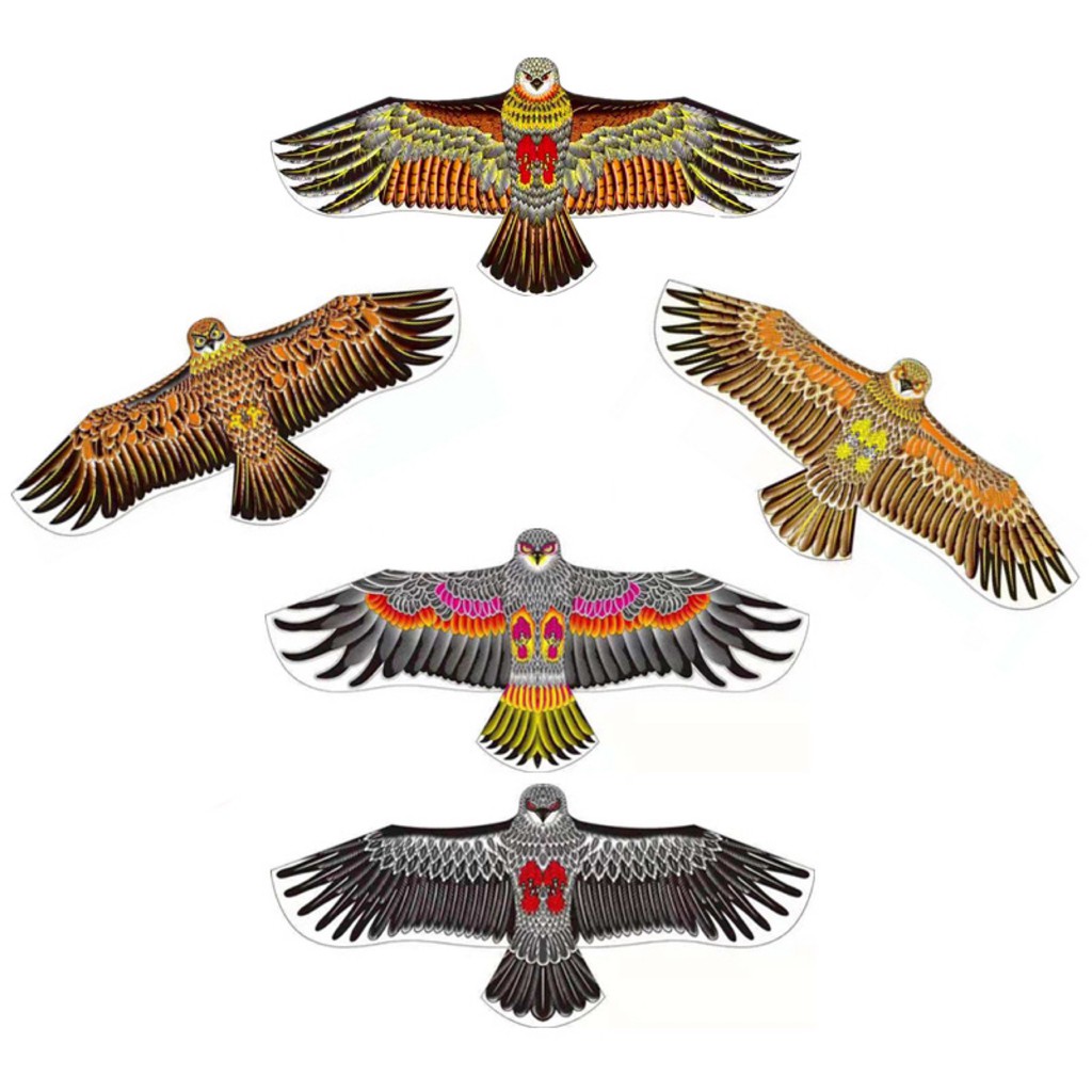 ✨ว่าวไล่นก นกพิราบ หนู 🐁🐁🐁🐁 ในนา ในไร่ ในสวน บ่อปลา บนหลังคาบ้าน