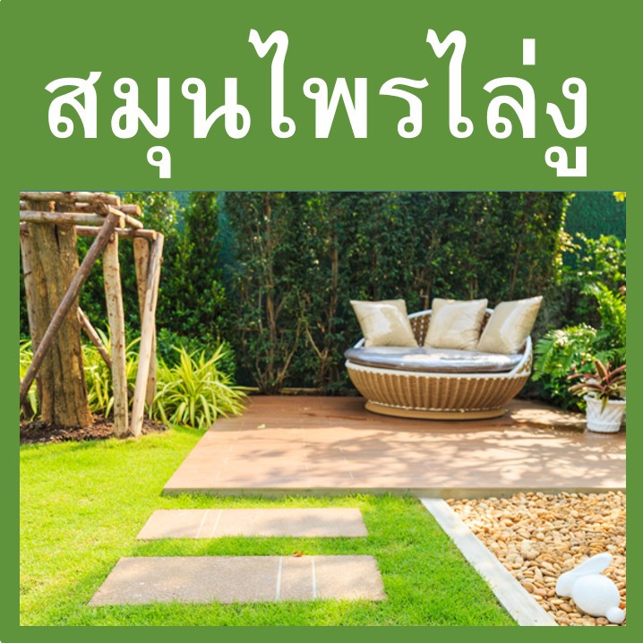 ก้อนไล่งู ป้องกันงู สมุนไพรไล่งู สมุนไพรงูเกลียด วางป้องกันไม่ให้งูเข้าใกล้ ป้องกันไม่ให้งูเข้าบ้าน งู Snakes Repellent