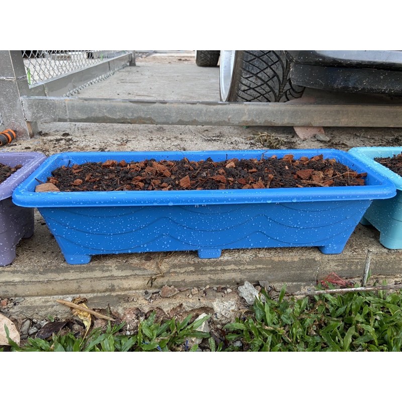 กระถางต้นไม้พลาสติกรางยาว ปลูกต้นไม้และผักสวนครัว ขนาด ยาว 31.5 ซม. x สูง 9 ซม. x กว้าง 10.5 ซม.