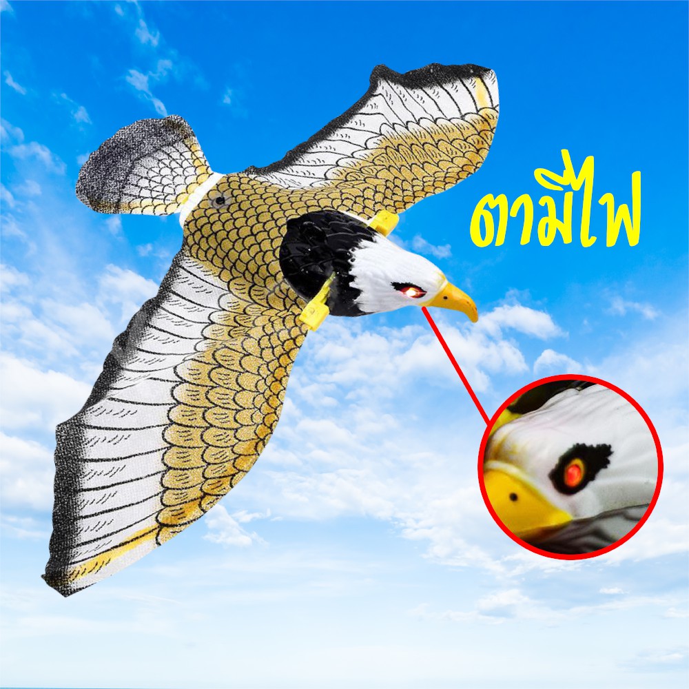 เหยี่ยวไล่นก 🦅 มีเสียง มีไฟที่ตา ปีกขยับค่ะ ใส่ถ่าน AA คละสี 24cm*10cm*6 cm ที่ไล่นก อุปกรณ์ไล่นก อุปกรณ์ป้องกันนก