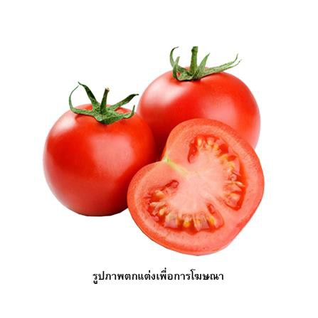 เมล็ดพันธุ์มะเขือเทศ กรีน การ์เด้น แข็งแรง ออกรากง่าย