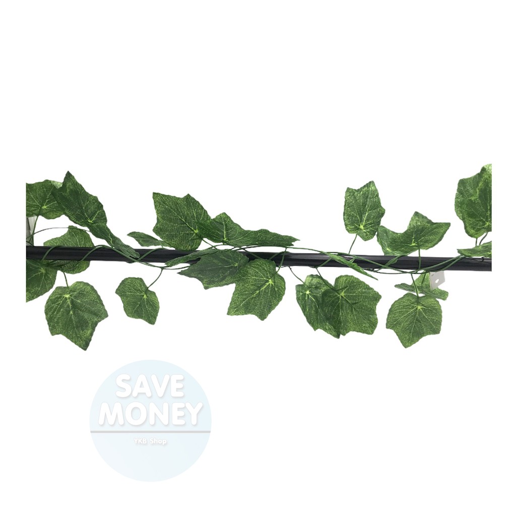 เถาวัลย์ปลอม ไม้เลื้อย🍀 ยาว2เมตร เถาวัลย์ ใบไม้ปลอม ใบองุ่น ใบพลูด่าง ใบไม้ประดิษฐ์ แต่งสวน