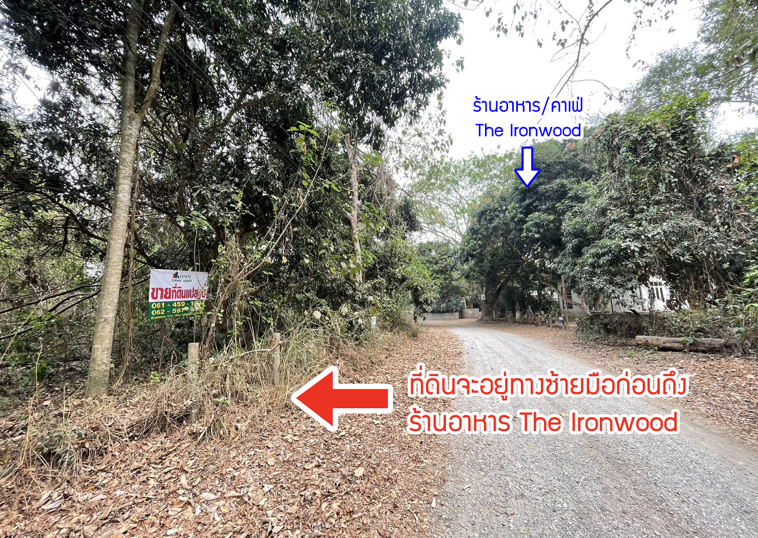 76931-ขายที่ดิน อำเภอแม่ริม จังหวัดเชียงใหม่