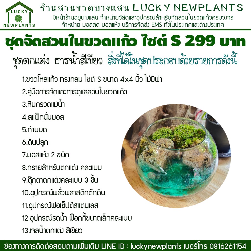 ชุดสวนขวด DIY ไซต์ S สวนเปิด 299 บาท ชุดตกแต่งธารน้ำสีเขียว