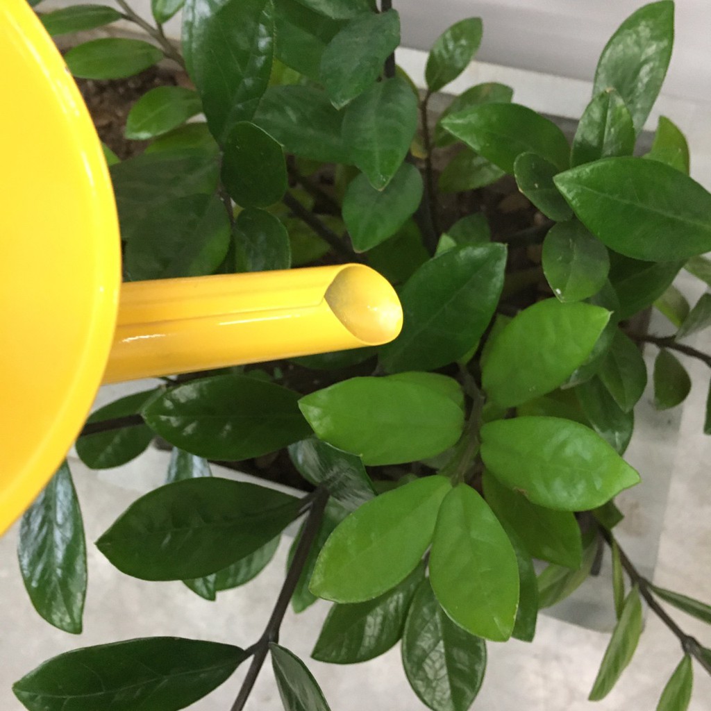 Cheap Cheap บัวรดน้ำ วินเทจ สไตล์เกาหลี สวน ของขวัญ แคคตัส บ้านและสวน ต้นไม้ ถัง กระถางต้นไม้ กระถาง สังกะสีเคลือบ