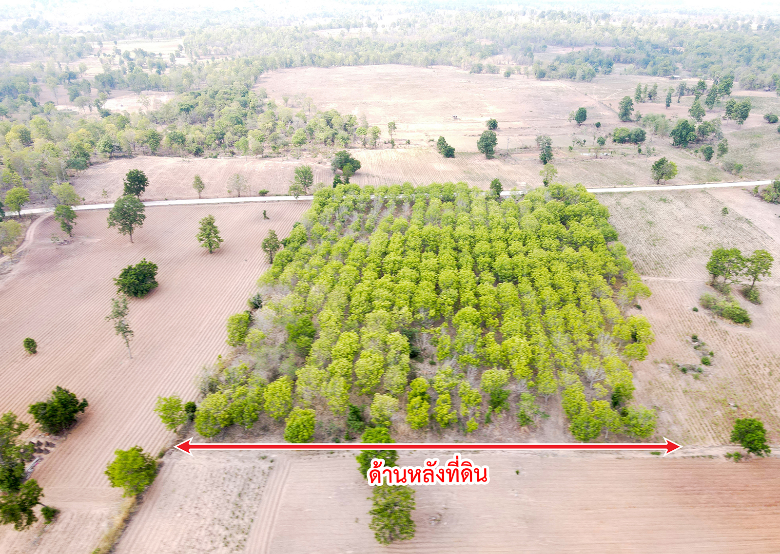 86310-ขายที่ดินพร้อมสวนยาง ต.ชีบน อ.บ้านเขว้า จ.ชัยภูมิ