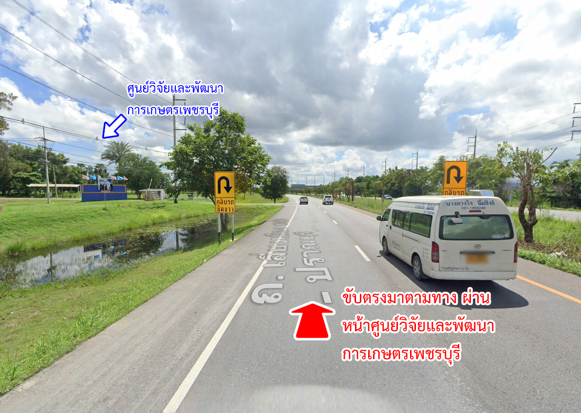 62110-ขายที่ดิน ใกล้สวนน้ำ แบล็ค เมาน์เทน หัวหิน