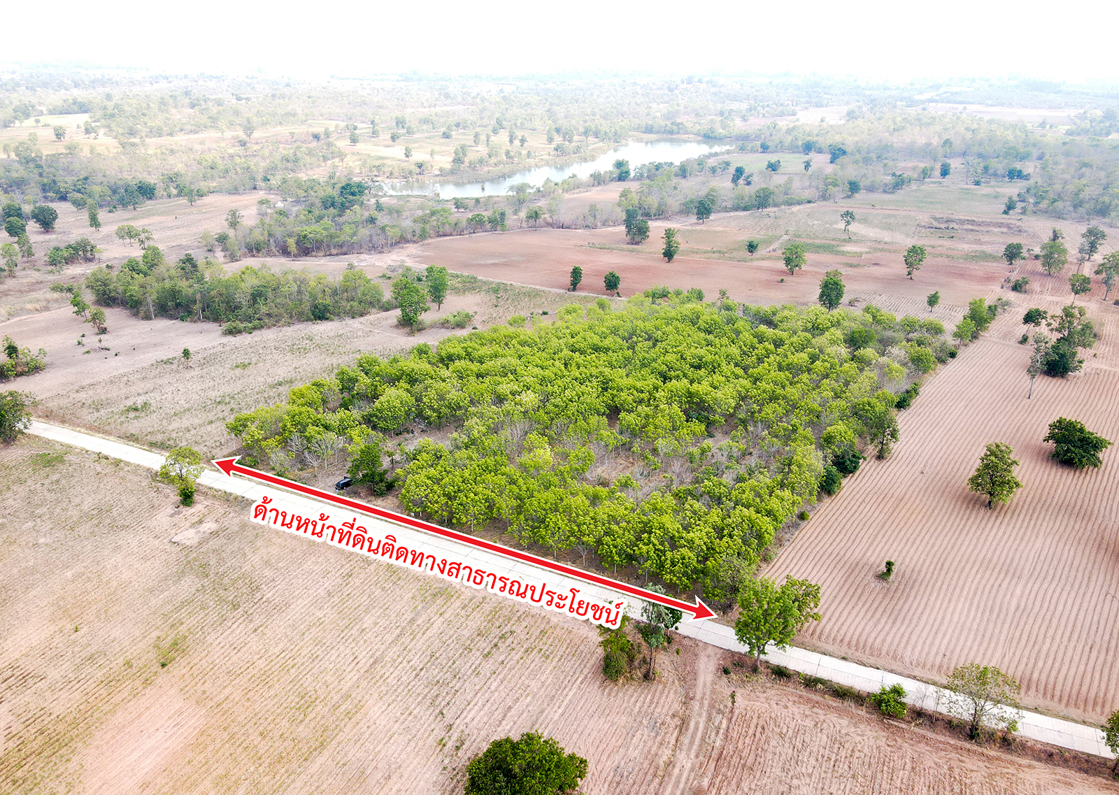 86310-ขายที่ดินพร้อมสวนยาง ต.ชีบน อ.บ้านเขว้า จ.ชัยภูมิ