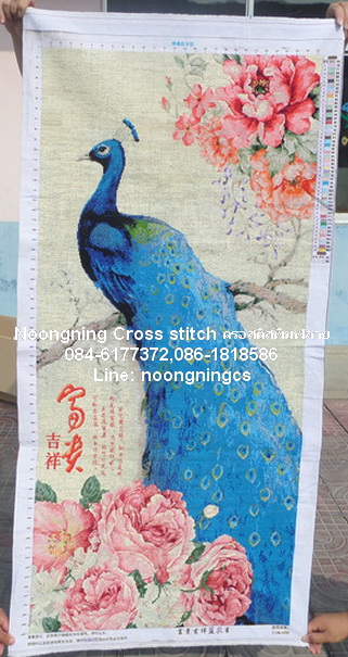 เปลือย ชุดปักครอสติช พิมพ์ลาย ครอสติสจีน งานฝีมือ DIY