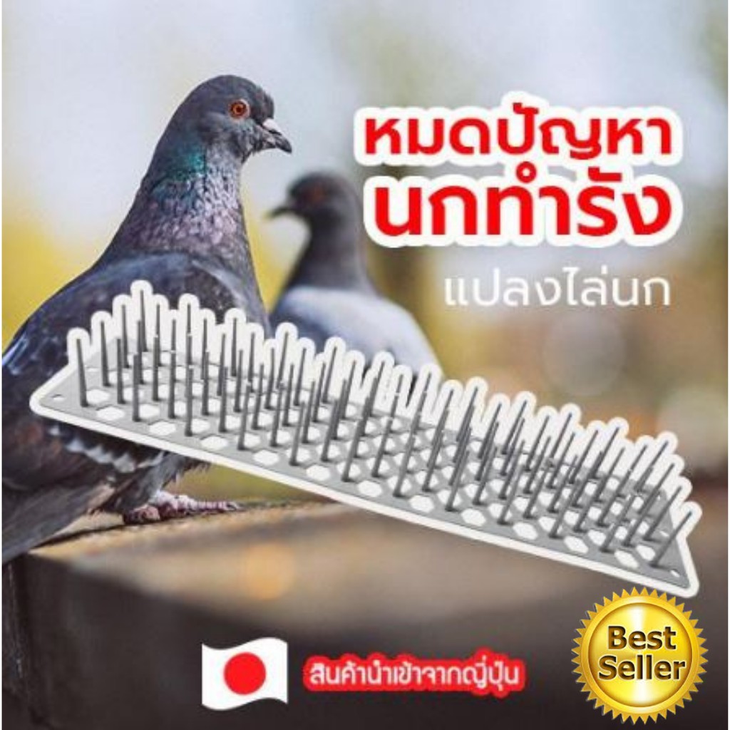 แปลงหนามป้องกันนกเกาะ กันนกทำรัง ป้องนกพิราบ นกทุกชนิด (แบบวาง) 1 ชิ้น ขนาด 49x11.2x6ซม. อุปกรณ์ไล่นก
