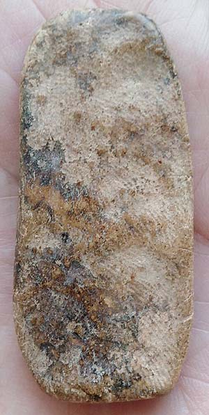 ลีลาข้างดอกไม้ เนื้อดิน