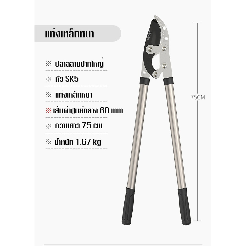 กรรไกรตัดแต่งกิ่งต้นไม้ กรรไกรตัดแต่งสวนผลไม้ เครื่องมือสวน กรรไกรตัดกิ่งขนาดใหญ่