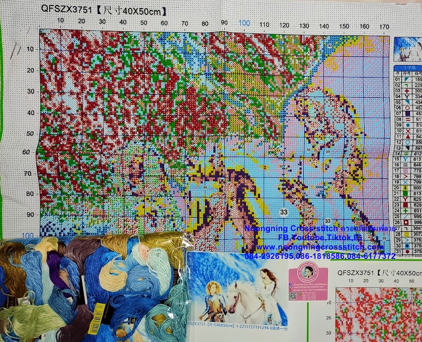 ครอสติส สั่งทํา 40x50ซม รูปตามแบบที่คุณต้องการ ชุดปักครอสติส พิมพ์ลาย ครอสติสจีน งานฝีมือทำที่บ้าน DIY