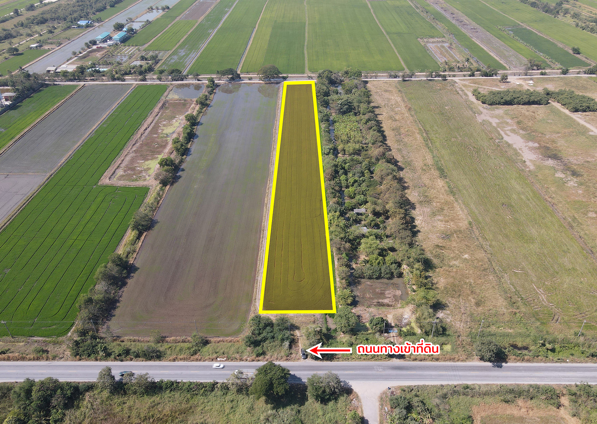 76967-ขายที่ดิน ติดถนน ธัญบุรี-วังน้อย คลองหลวง ปทุมธานี