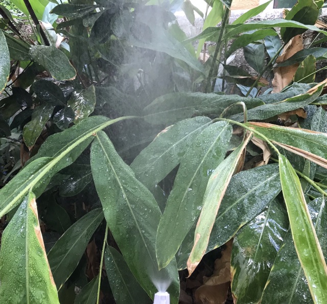 ชุดสายน้ำหยด ชุดพ่นละอองน้ำ ชุดสายพ่นหมอก ชุดรดน้ำต้นไม้ ชุดพ่นน้ำละอองหมอก