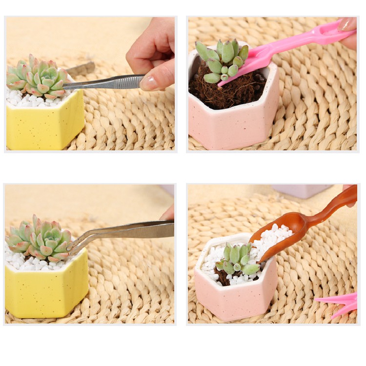 ชุดอุปกรณ์การปลูก ทำสวนขนาดเล็ก 10ชิ้นสำหรับต้นไม้ขนาดเล็ก แคคตัส กระบองเพชร ไลทอป เพื่อการปลูกต้นไม้ที่ง่ายขึ้น 10jian
