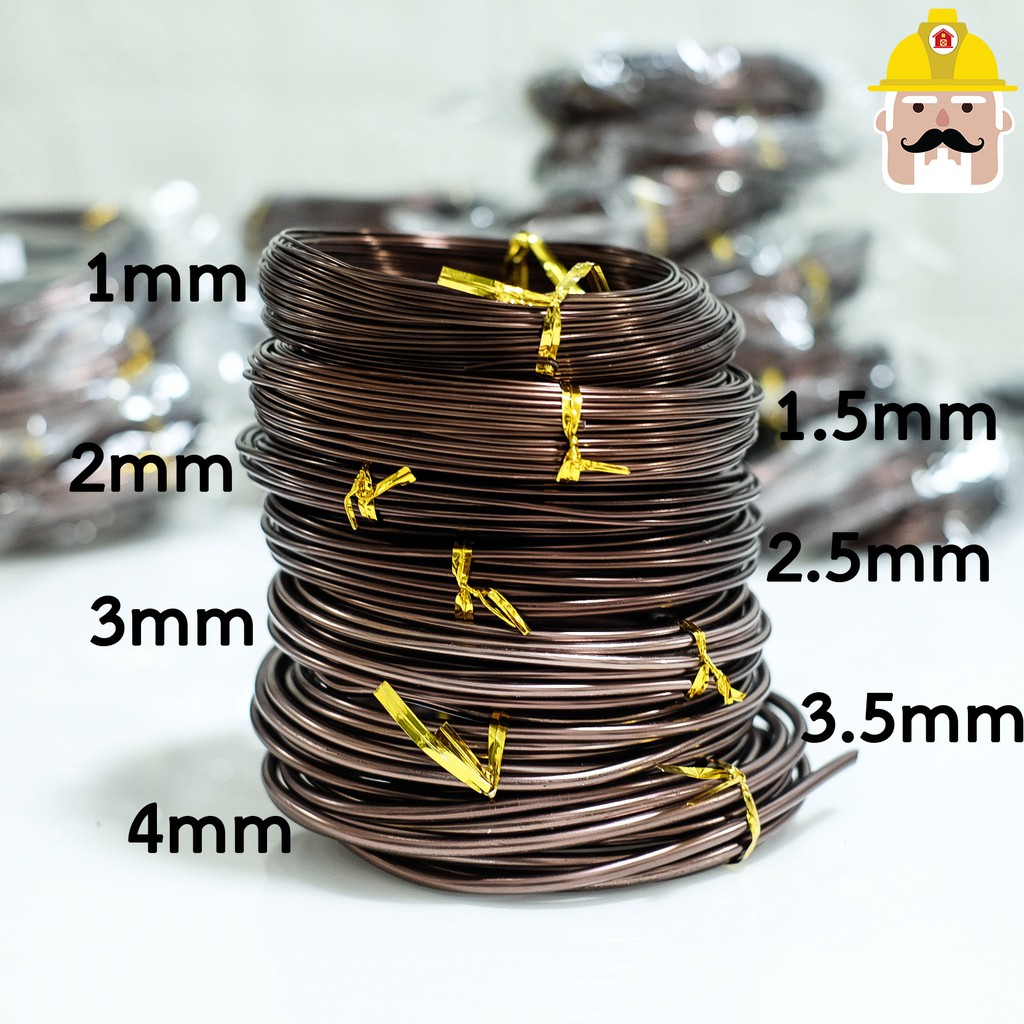 *พร้อมส่ง* ลวดดัดบอนไซ ขนาด100กรัม สีน้ำตาล อุปกรณ์บอนไซ อุปกรณ์ตกแต่งสวน ต้นไม้ฟอกอากาศ ต้นไม้มงคล ลวดบอนไซสีดำ