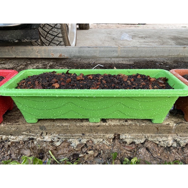 กระถางต้นไม้ กระถางต้นไม้พลาสติกรางยาว ปลูกต้นไม้และผักสวนครัว ขนาดยาว 21 นิ้ว กว้างและสูง 6 นิ้ว