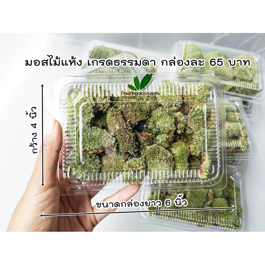 มอสไม้ มอสแห้ง มอสตกแต่งสวนขวดสวนถาด กล่องละ 65 บาท