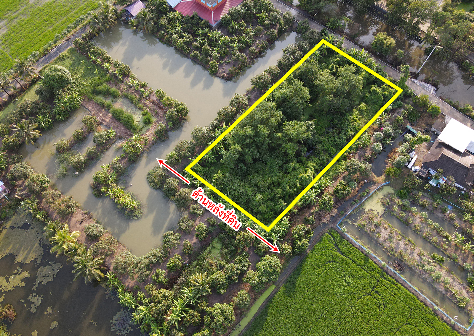 81576-ขายที่ดิน ซอยวัดลาดปลาดุก คลองกำนันชื้น บางบัวทอง นนทบุรี