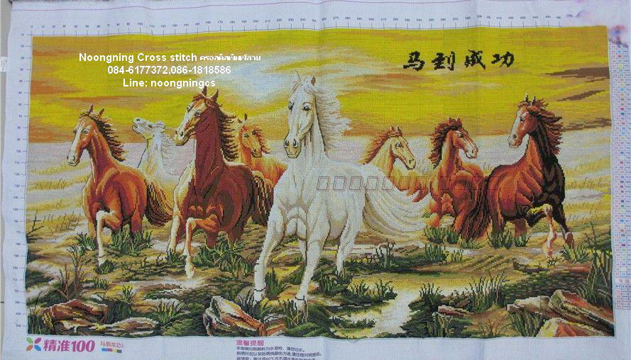ม้าครอสติสพิมพ์ลาย