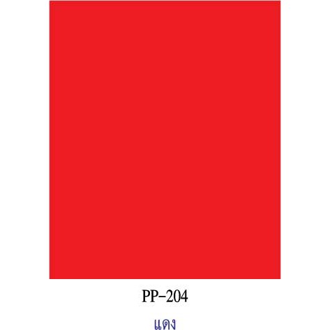 สีแดง กระดาษโปสเตอร์สี 2 หน้า 20 แผ่น PP204