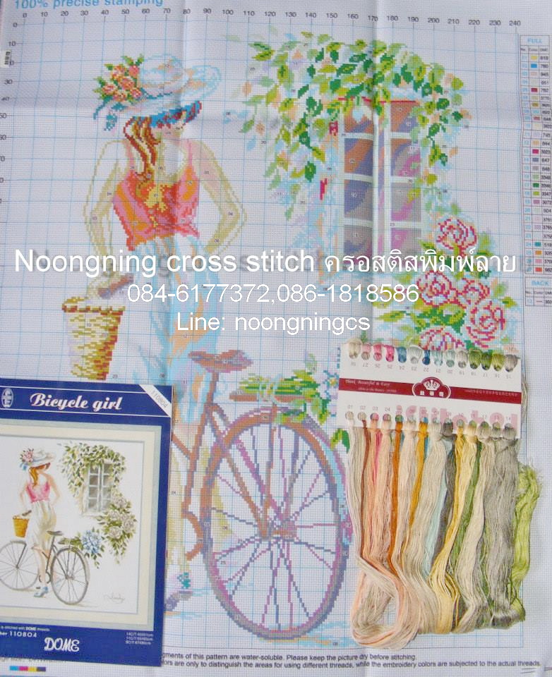 ดอกไม้ ชุดปักครอสติช พิมพ์ลาย ครอสติสจีน งานฝีมือ DIY