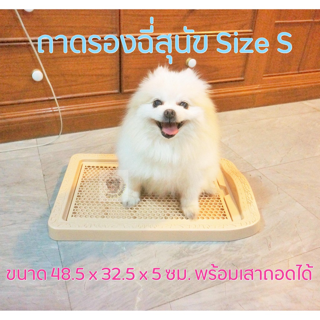 ถาดรองฉี่สุนัข Training Tray Dog Toilet with Pole ห้องน้ำสุนัข Size S พร้อมเสาถอดได้ ขนาด 48.5 x 32.5 x 5 ซม.