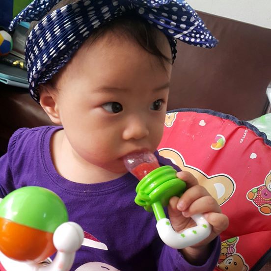 ที่ดูดผลไม้และอาหารเด็กสีเขียว