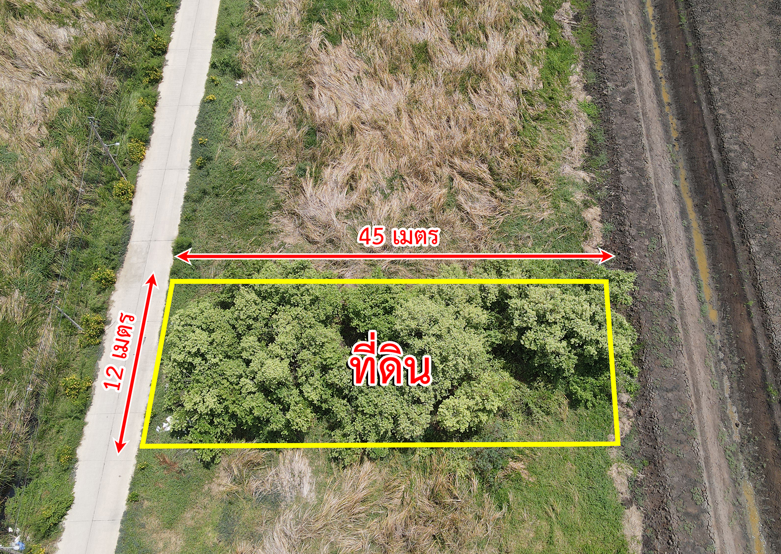 60622-ขายที่ดินราคาถูก ถนนสุวินทวงศ์ มีนบุรี กรุงเทพ