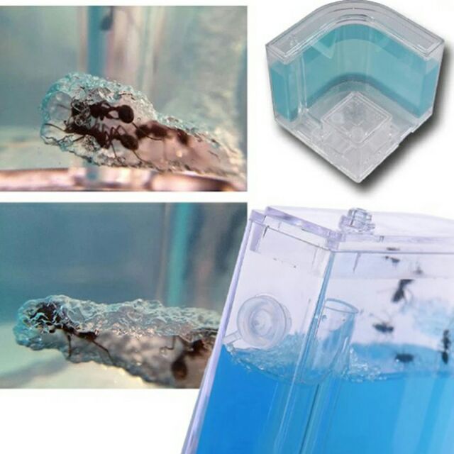 บ้านมด ที่เลี้ยงมีไฟส่อง กล่องเลี้ยงมด ฟาร์มมดของเล่น บ้านมด ฟาร์มมดเจลเขาวงกต Ant Farm-B(มีไฟLED)