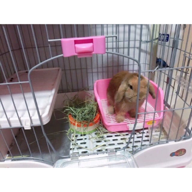 ห้องน้ำกระต่าย รุ่นใหม่ shobi