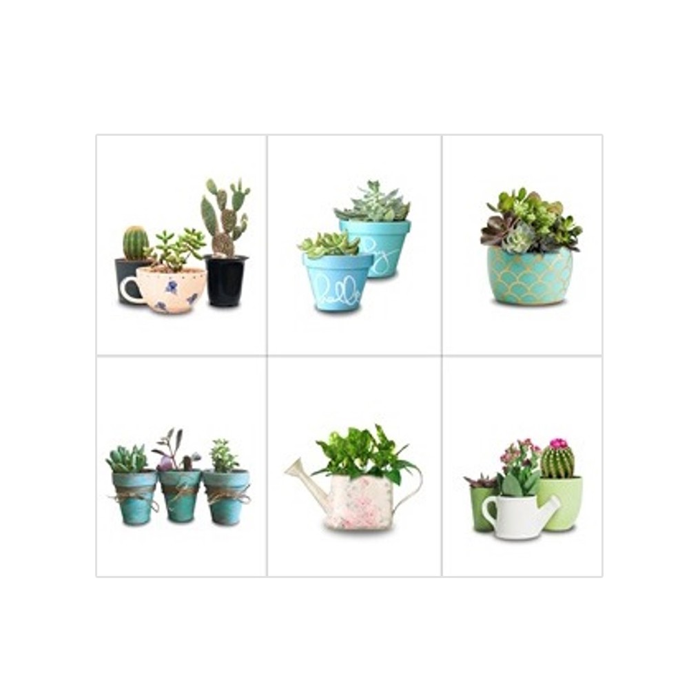 เซฟตี้ เบรกเกอร์ HACO SB-E25L 2 POLE สีขาว เกรดไม่ลามไฟ และทนทานต่อแรงกระแทก