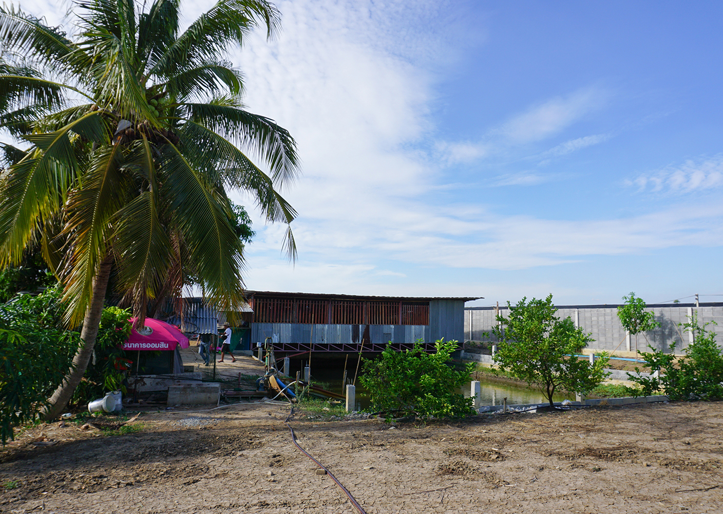 68373-ขายที่ดินพร้อมบ้าน ตำบลสามโก้ อำเภอสามโก้ อ่างทอง