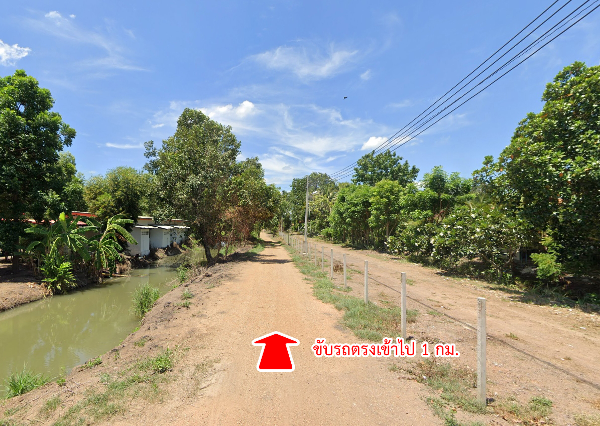 62109-ขายที่ดิน ถนนคลองเก้า คลองระพีพัฒน์ หนองเสือ ปทุมธานี