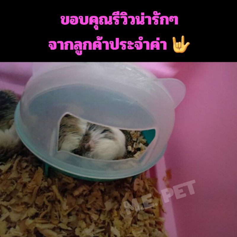 ห้องน้ำหนูแฮมเตอร์ NEWAGE ห้องน้ำหนูไจแอนท์ และหนูพันธุ์ชนิดอื่นๆ (รุ่นหัวหมี)