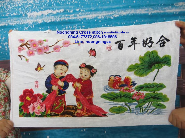 ม้าครอสติสไม่พิมพ์ลาย