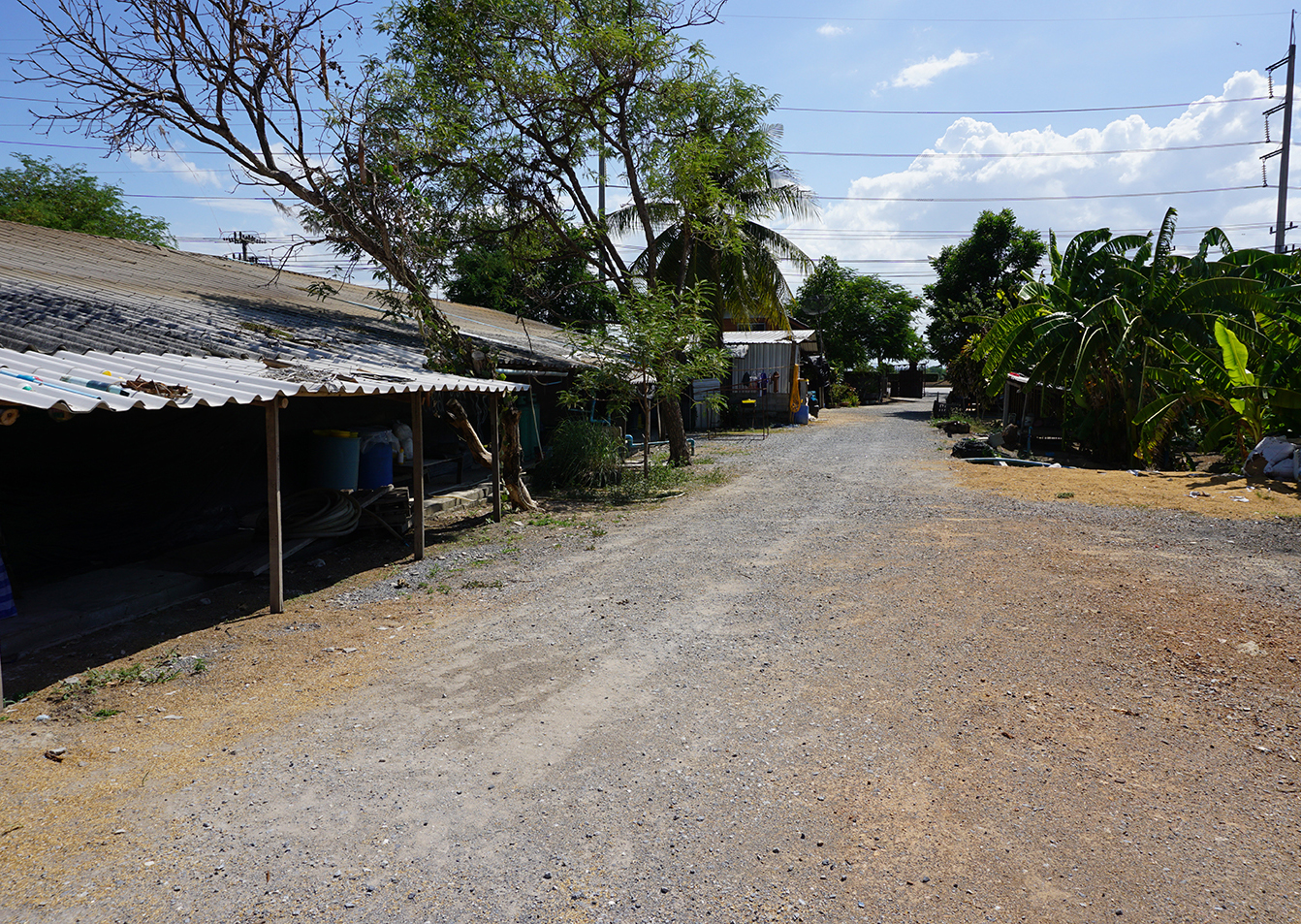 68412-ขายที่ดิน พร้อมฟาร์มไก่เนื้อระบบปิด ท่าเสด็จ สุพรรณบุรี