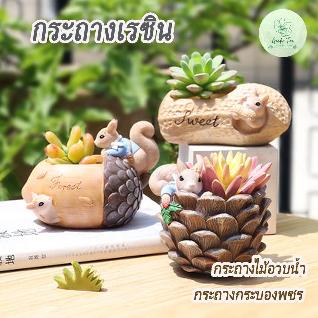 กระถางเรซินกระรอก Resin Pots กระถางไม้อวบน้ำ กระถางต้นไม้ กระถางกุหลาบหิน แต่งสวน ของขวัญ ของชำร่วย ต้นไม้