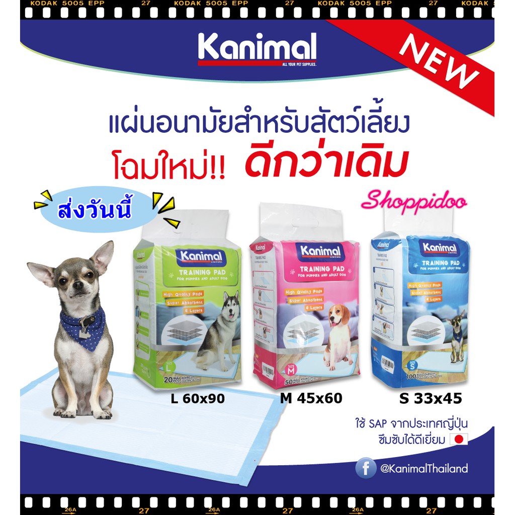 ถูกราคาส่ง ((KANIMAL)) แผ่นรองซับสัตว์เลี้ยง ฝึกขับถ่าย 3ขนาด แผ่นรองซับสุนัข แผ่นรองกรง แผ่นรองซับฉี่สุนัข