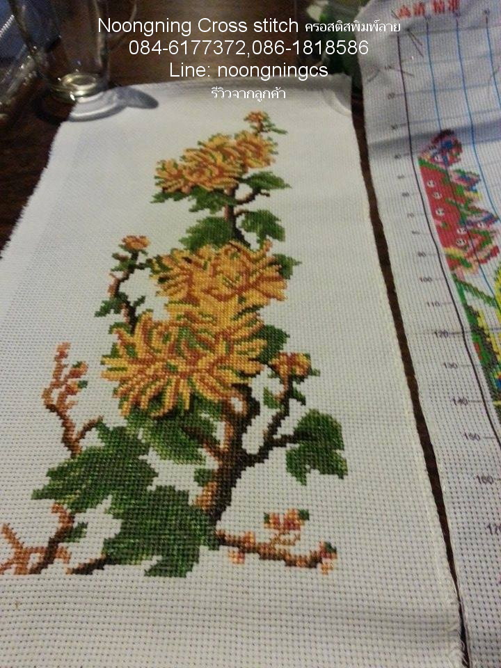วิวน้ำตก ชุดปักครอสติช พิมพ์ลาย ครอสติสจีน งานฝีมือ DIY