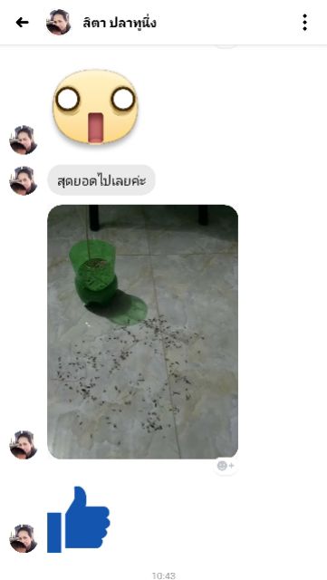 (ล็อตใหม่)5 ห่อ ธูปกำจัดยุง ธูปหอมไล่ยุง🔥สูตรใหม่จุดได้ทั้งในและนอกบ้านสีเดียวจบไม่ต้องใช้หลายสี