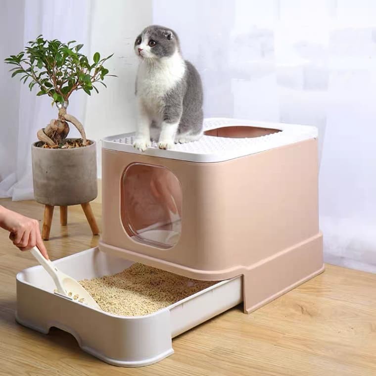 CatHoliday ห้องน้ำโดมหลุม XL ห้องน้ำแมว