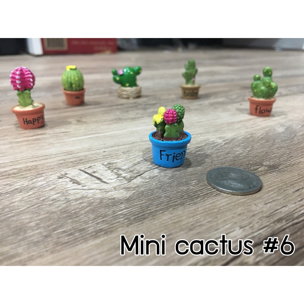 (ตุ๊กตาตกแต่งสวน) กระบองเพชรจิ๋ว มี 12 แบบให้เลือกค่ะ ใครเลี้ยงแล้วตายแนะนำรุ่นนี้ค่ะ ทิ้งขว้างยังไงก็ไม่ตาย