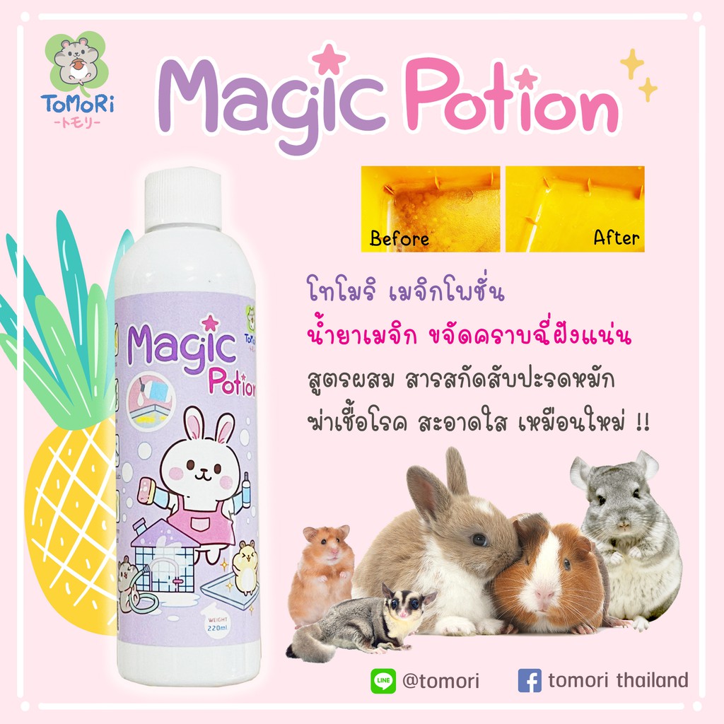 ร้านโทโมะ💕 น้ำยาเมจิก โทโมริ ขจัดคราบฉี่ฝังแน่น ฆ่าเชื้อโรค ขจัดกลิ่น ถาดรองกรง ห้องน้ำกระต่าย แฮมสเตอร์ เม่น สุนัข