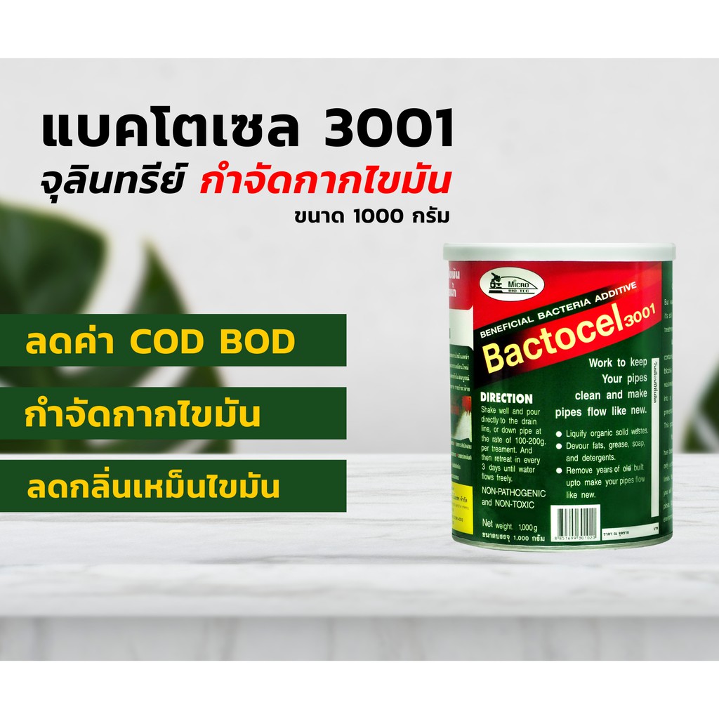 Bactocel แบคโตเซล 3001 ขนาด 1000 กรัม กำจัดไขมัน ดับกลิ่นเหม็นไขมัน บ่อดักไขมัน ดูดไขมัน ซิ้งล้างจาน