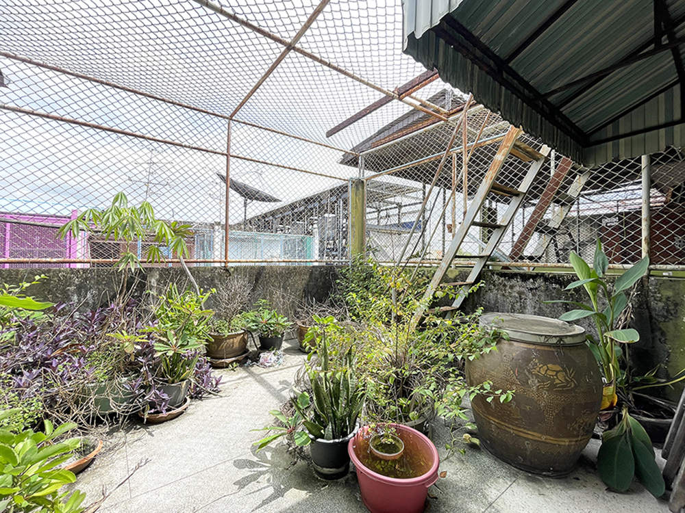 86370 ขายอาคารพาณิชย์ ถนนตะนาว พระนคร ซอยตรอกศาลเจ้าพ่อเสือ กรุงเทพฯ