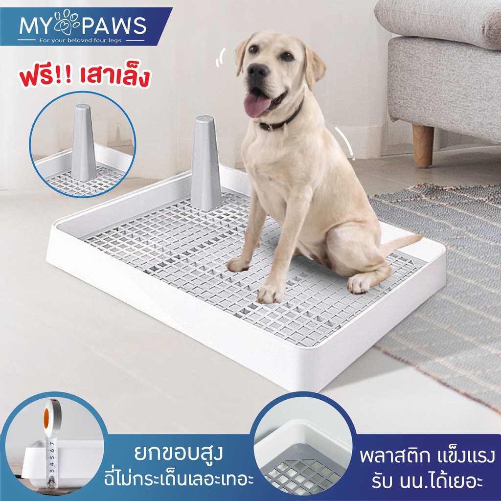 [🔥โค๊ดส่วนลด] My Paws ถาดรองฉี่สุนัข รุ่นแข็งแรงพิเศษ 2 ชั้น ฟรี!! เสาเล็ง ห้องน้ำสุนัข Dog Toilet tray