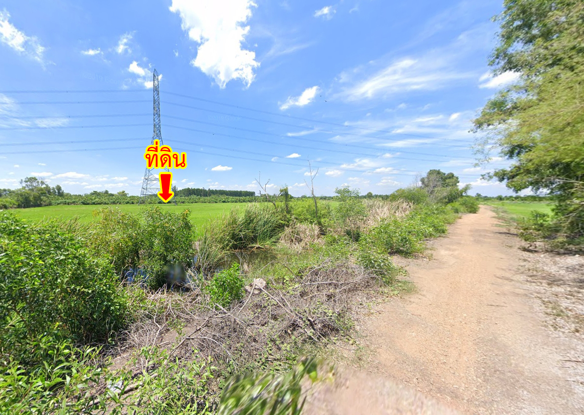 62109-ขายที่ดิน ถนนคลองเก้า คลองระพีพัฒน์ หนองเสือ ปทุมธานี