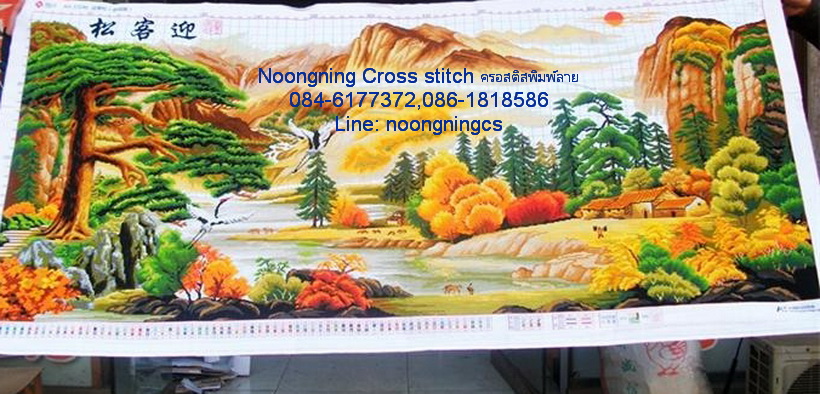 ตัวอักษรจีน ชุดปักครอสติช พิมพ์ลาย ครอสติสจีน งานฝีมือ DIY